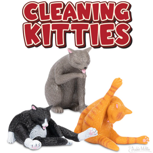 ARCHIE MCPHEE NOVELTY Cleaning Kitties