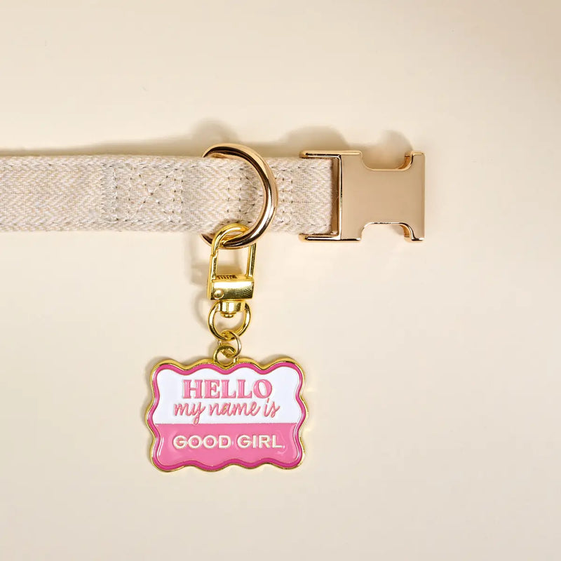 Pawfect Collar Charm