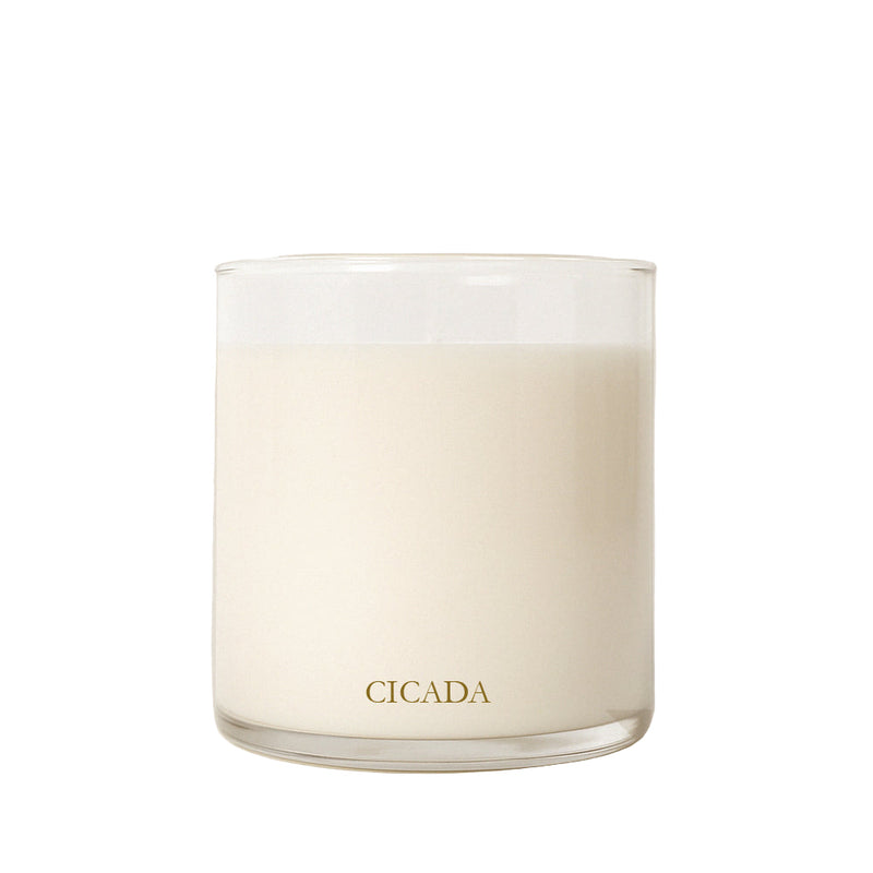 The House of Memory No. 09 Candle