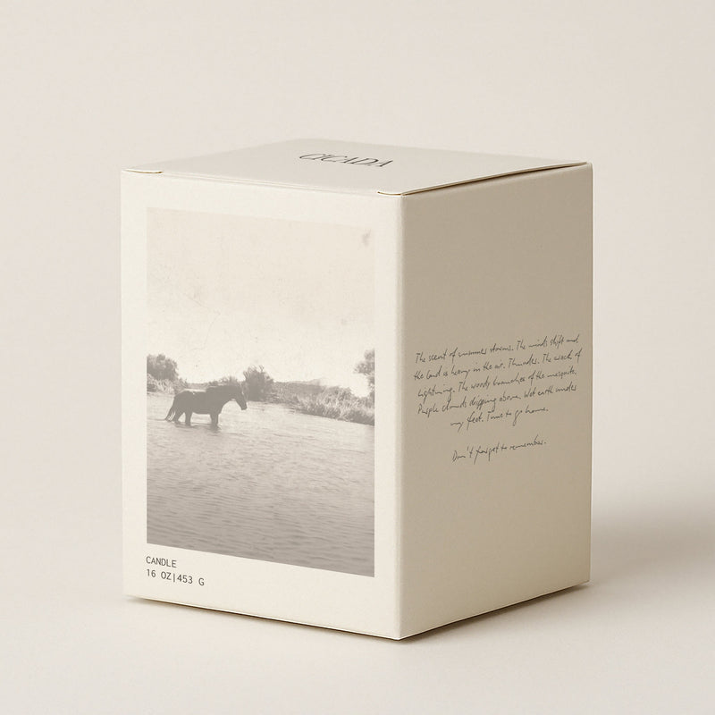 The House of Memory No. 06 Candle