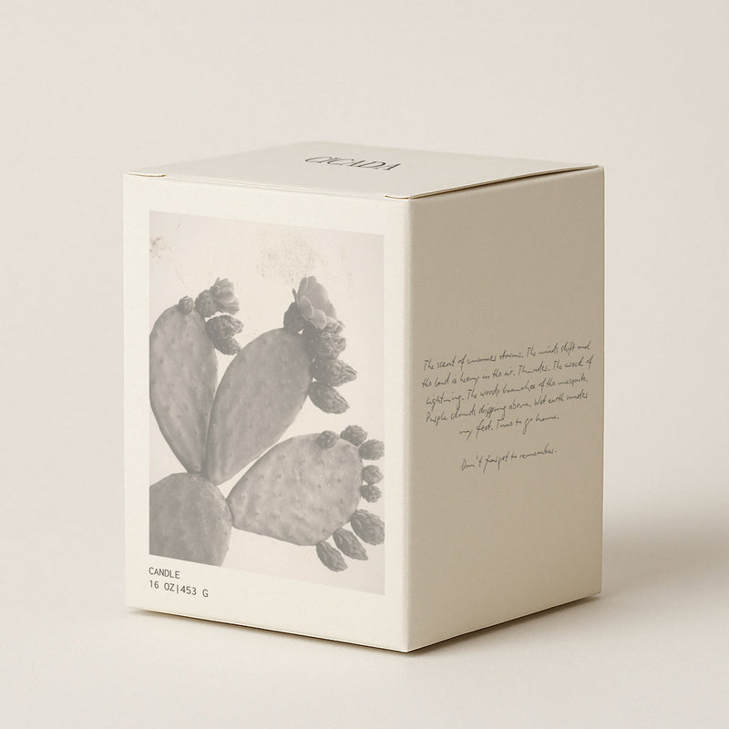 The House of Memory No. 09 Candle