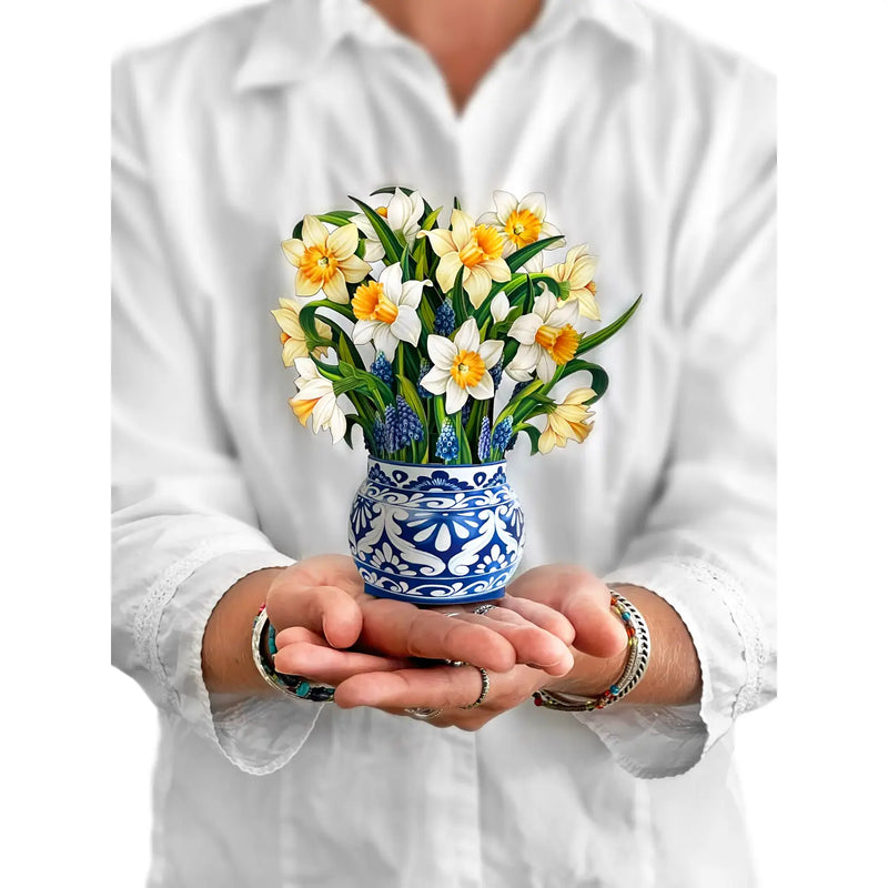 Mini English Daffodils