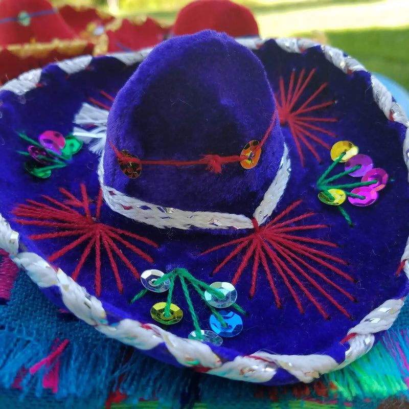 Dog Hat | Cat Hat, Mariachi Hat, Cute Puppy Hat