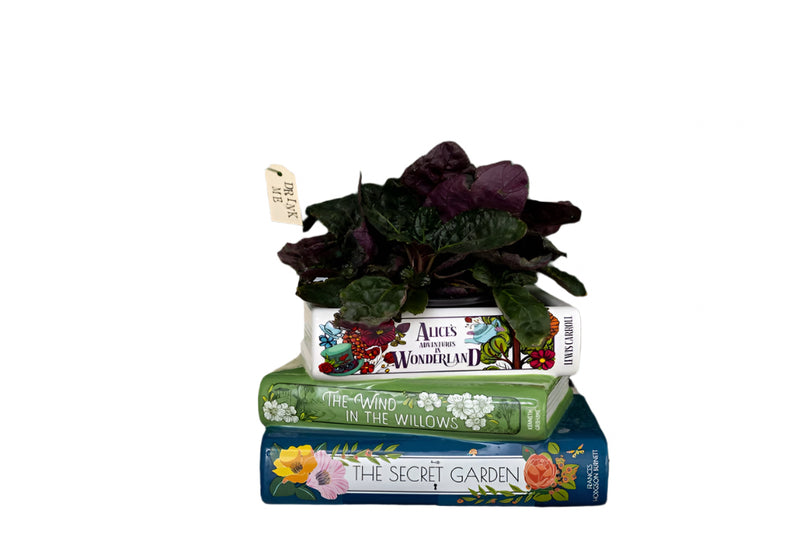 Stacked Books Planter, Alice/Wind in the Willows/The Secret