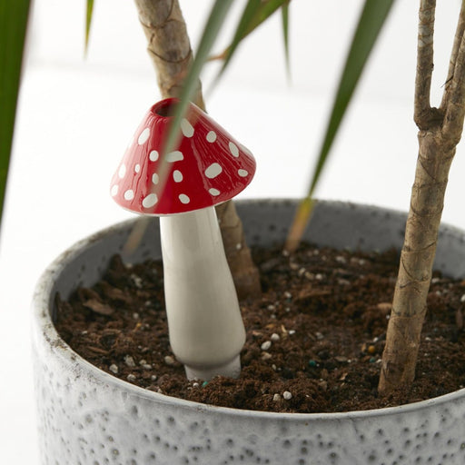 Amanita Self- Watering - LOCAL FIXTURE