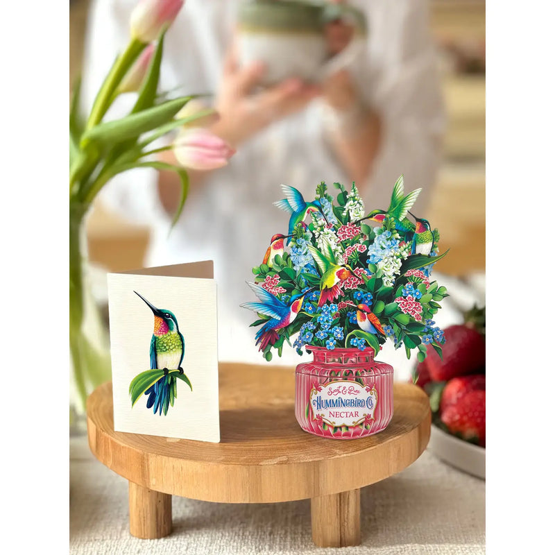 Mini Hummingbird Oasis
