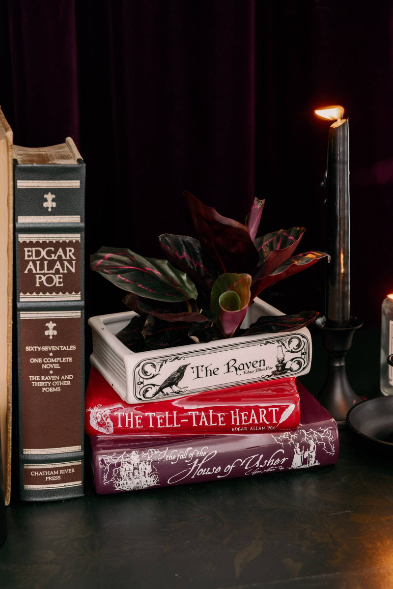 Stacked Book Planter, The Raven