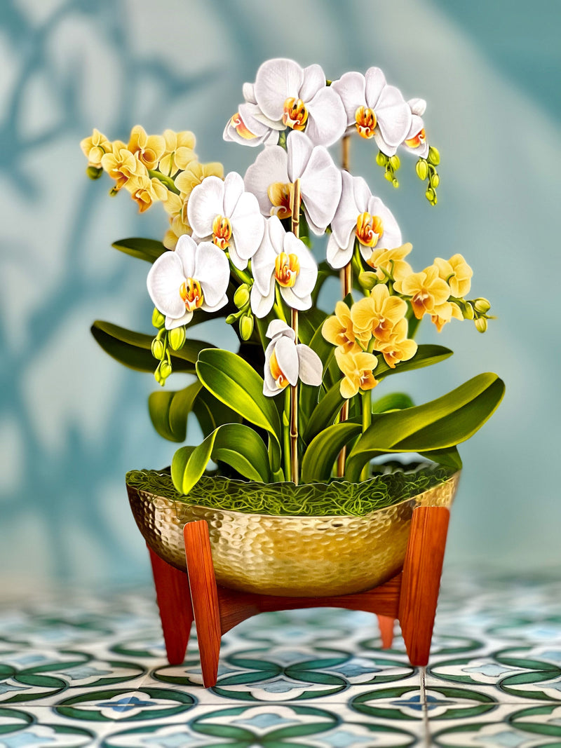 FreshCut Paper | Serenity Orchid - LOCAL FIXTURE