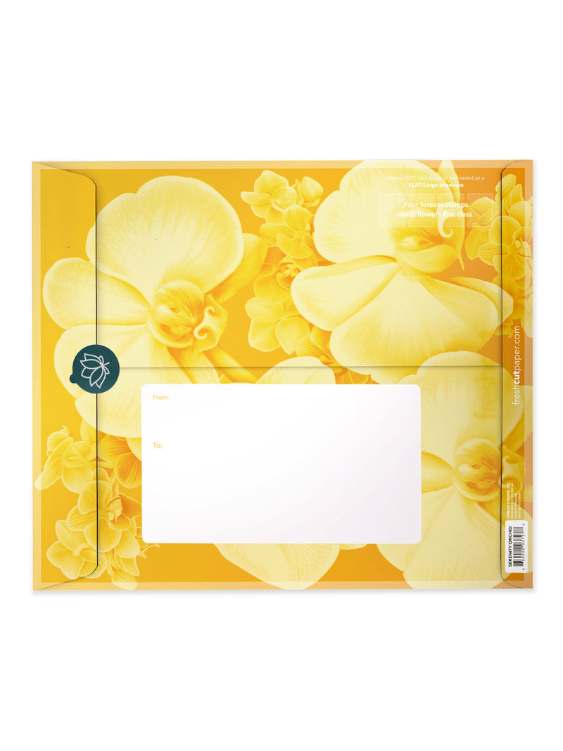 FreshCut Paper | Serenity Orchid - LOCAL FIXTURE