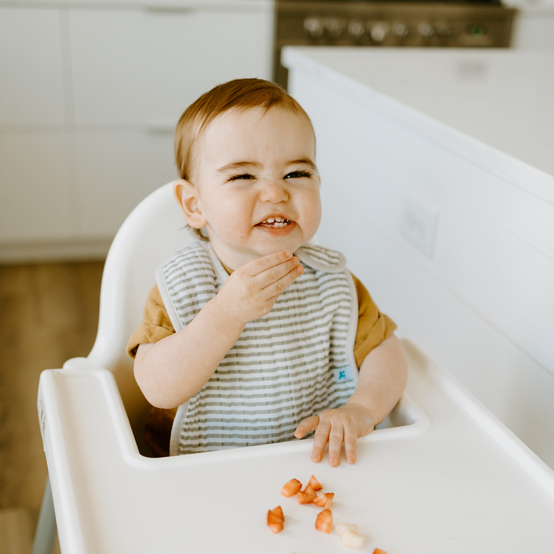 Cotton Muslin Classic Bib 3 Pack | Watercolor Roses 2