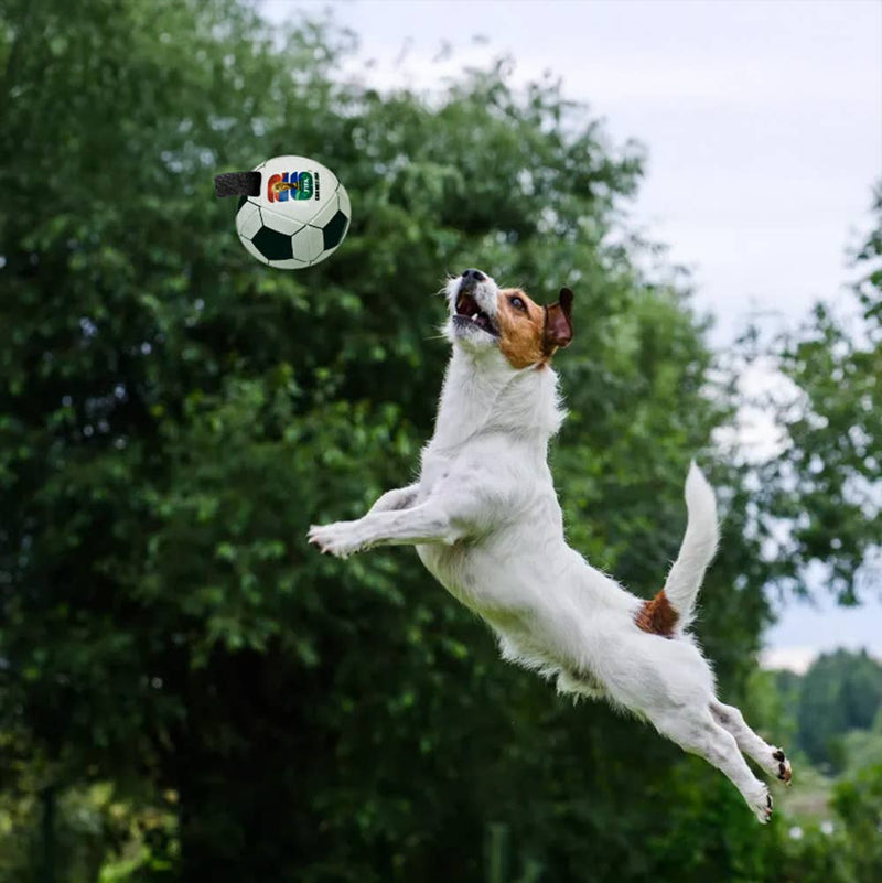 2026 FIFA World Cup Soccer Ball Pet Toy