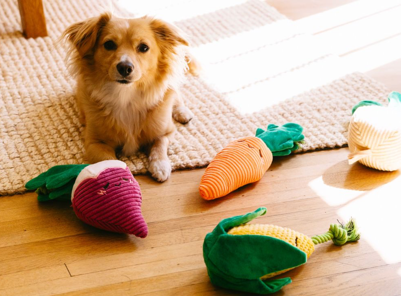 Crinkle Crops - Corn