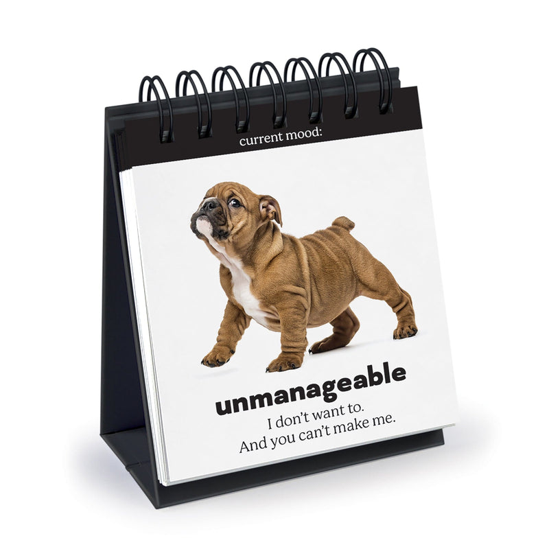 Daily Doggo Desktop Flip Book — LOCAL FIXTURE