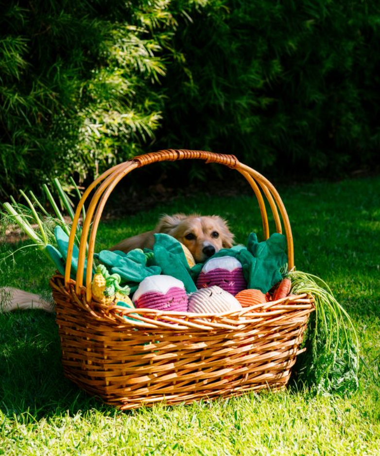 Crinkle Crops - Corn