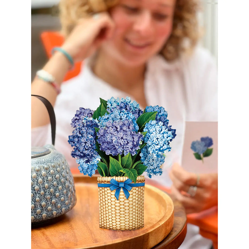 Mini Nantucket Hydrangeas