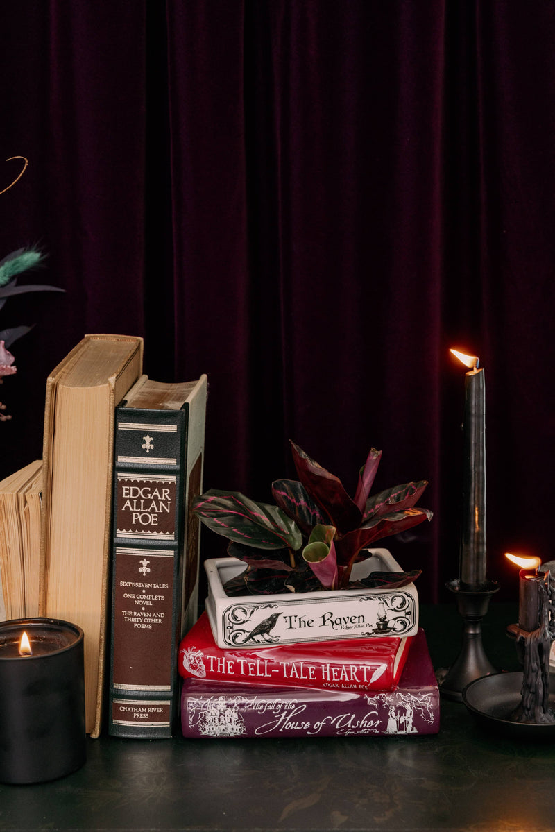 Stacked Book Planter, The Raven