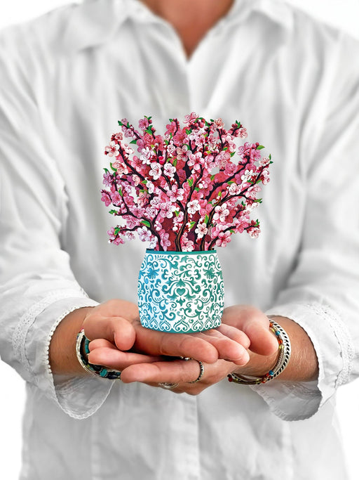 FreshCut Paper | Mini Cherry Blossoms - LOCAL FIXTURE