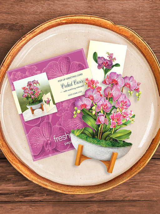 FreshCut Paper | Mini Orchid Oasis - LOCAL FIXTURE