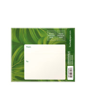 FreshCut Paper | Mini Monstera - LOCAL FIXTURE