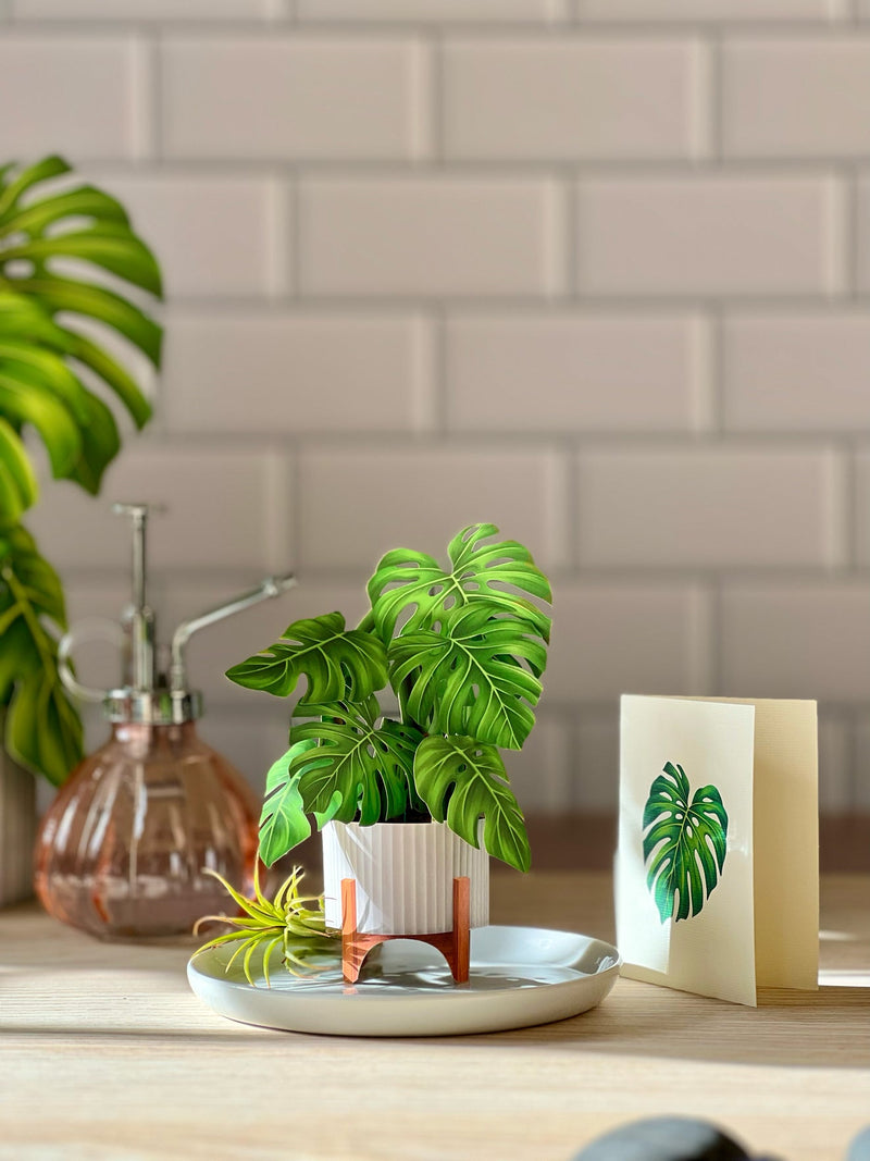 FreshCut Paper | Mini Monstera - LOCAL FIXTURE
