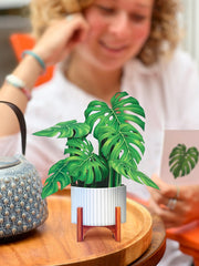 FreshCut Paper | Mini Monstera - LOCAL FIXTURE