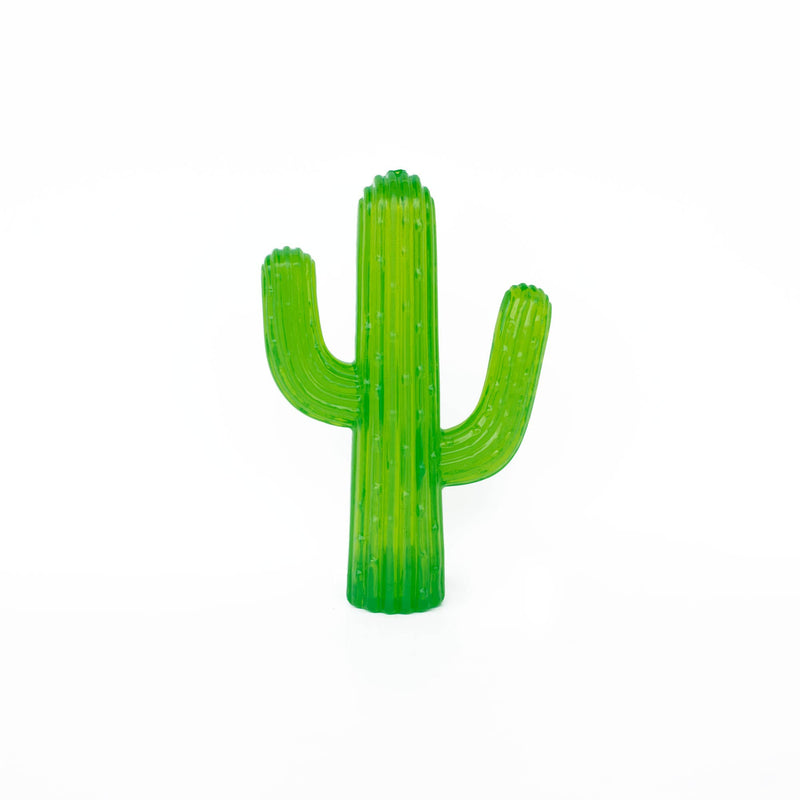 ZippyTuff - Cactus - Dog Toy