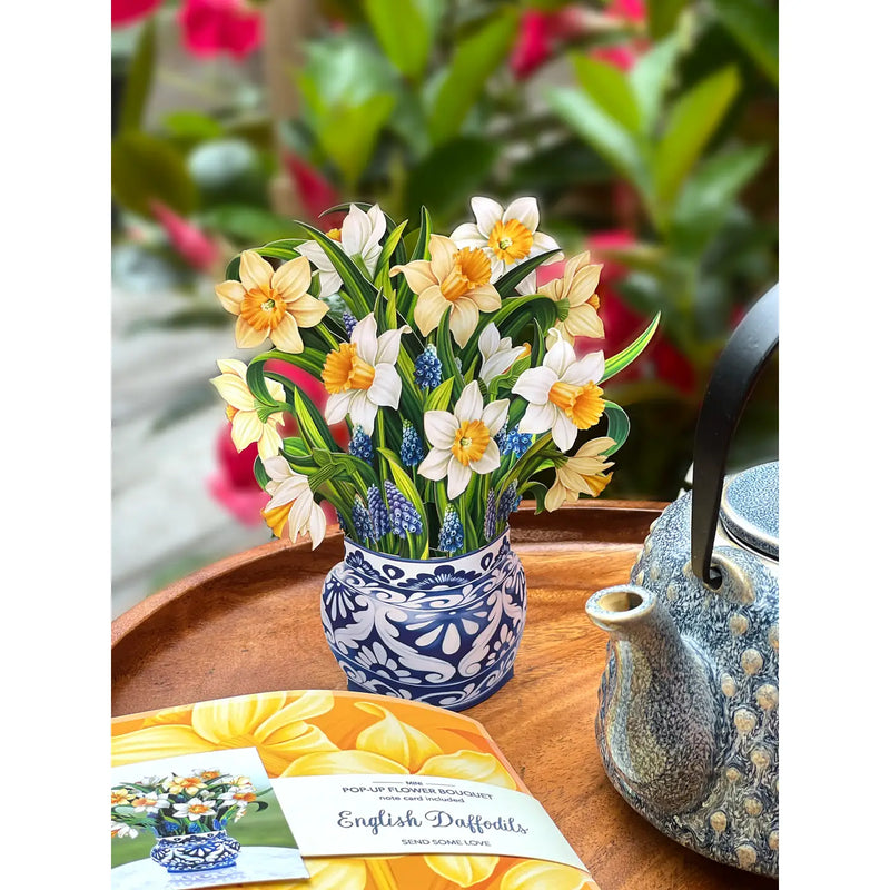 Mini English Daffodils