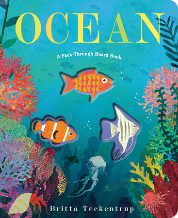 Ocean: A Peek-Through Board Book cover