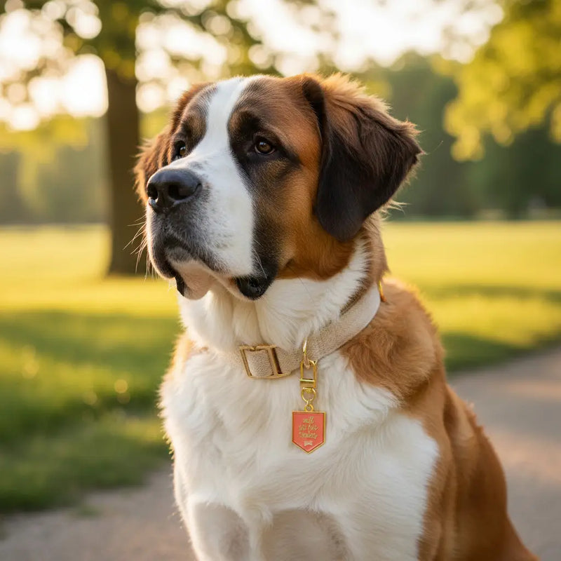 Pawfect Collar Charm
