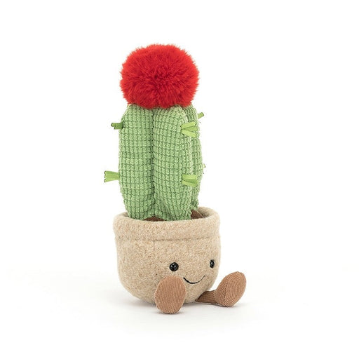 Amuseable Moon Cactus - LOCAL FIXTURE