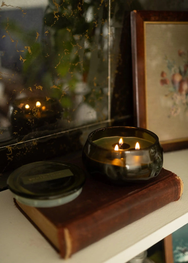 Wild Fig & Cedar | 10 oz Candle