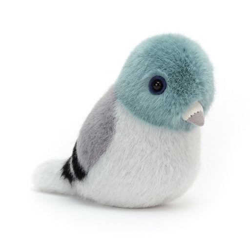 Birdling Pigeon - LOCAL FIXTURE