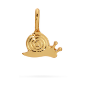 CG.SH.SNAIL