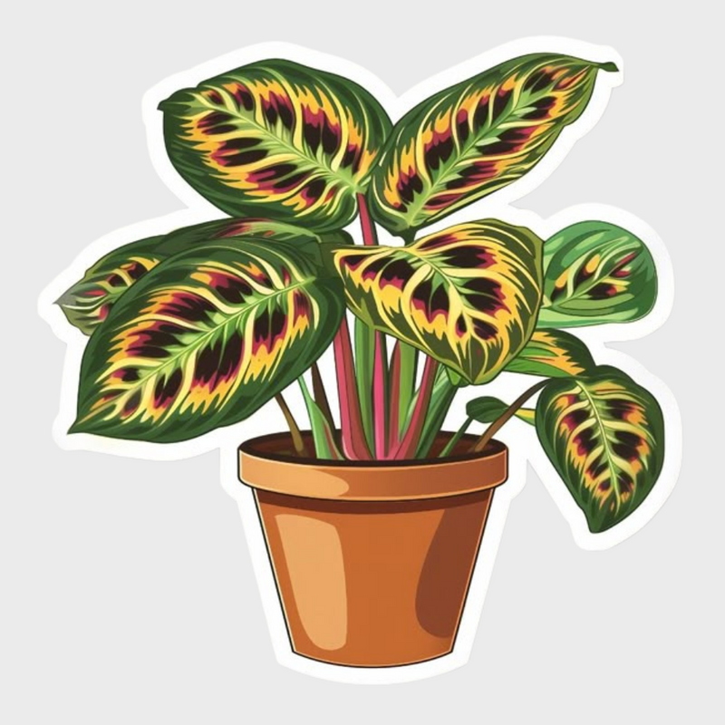Magic Monstera Sticker