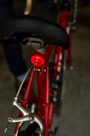 Twin Bicycle Lights - LOCAL FIXTURE