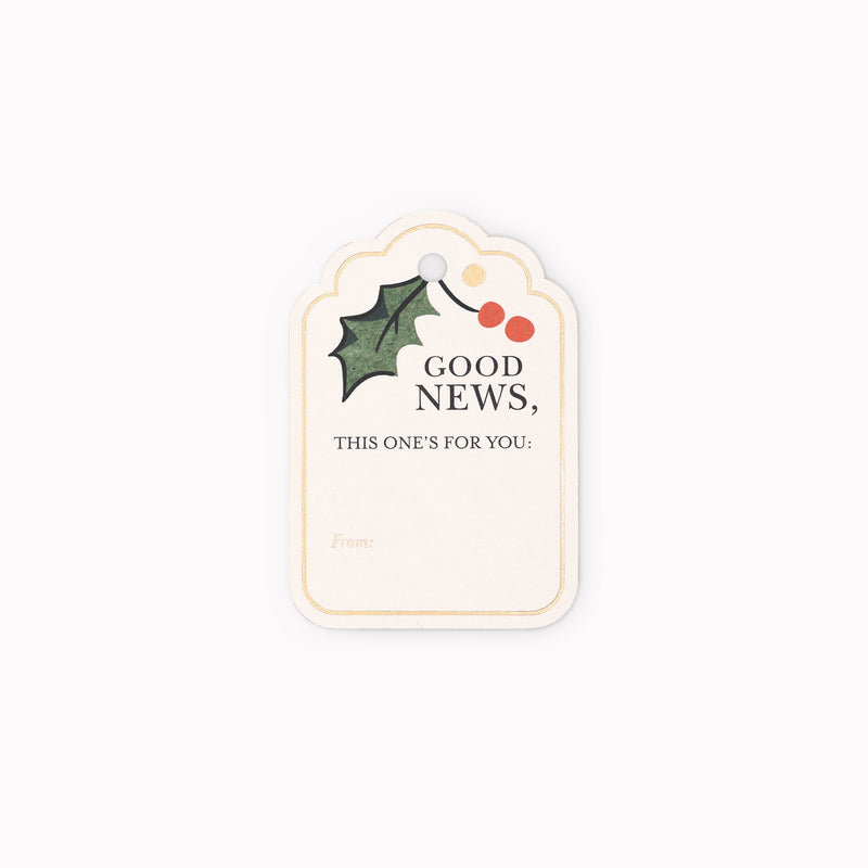 Christmas Chronicle gift bag set
