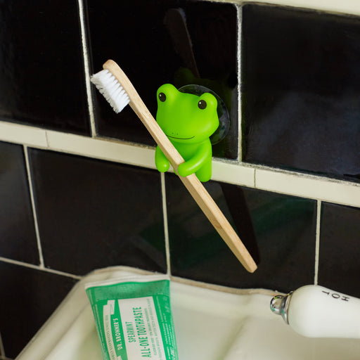Frog Toothbrush Holder - LOCAL FIXTURE