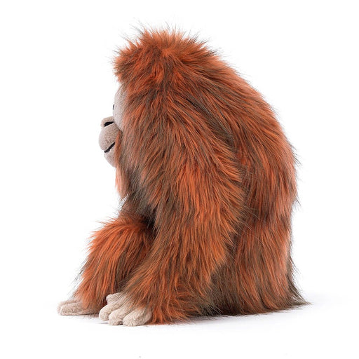 Oswald Orangutan - LOCAL FIXTURE
