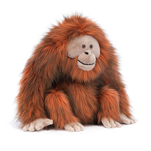 Oswald Orangutan - LOCAL FIXTURE