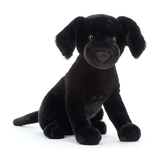 Pippa Black Labrador - LOCAL FIXTURE