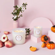 Saijo Persimmon | Classic Candle - LOCAL FIXTURE