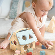 House Shape Sorter - LOCAL FIXTURE