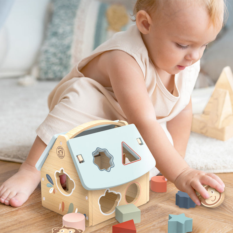 House Shape Sorter - LOCAL FIXTURE