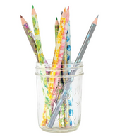 Wanderlust and Wildflowers: 10 Colored Pencils - LOCAL FIXTURE