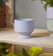 Pasadena Pot - LOCAL FIXTURE