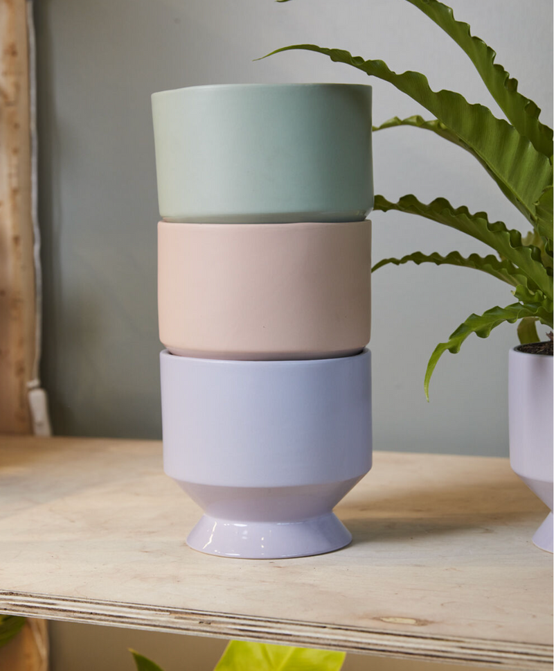 Pasadena Pot - LOCAL FIXTURE