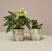 Favorite Parent Pot - LOCAL FIXTURE