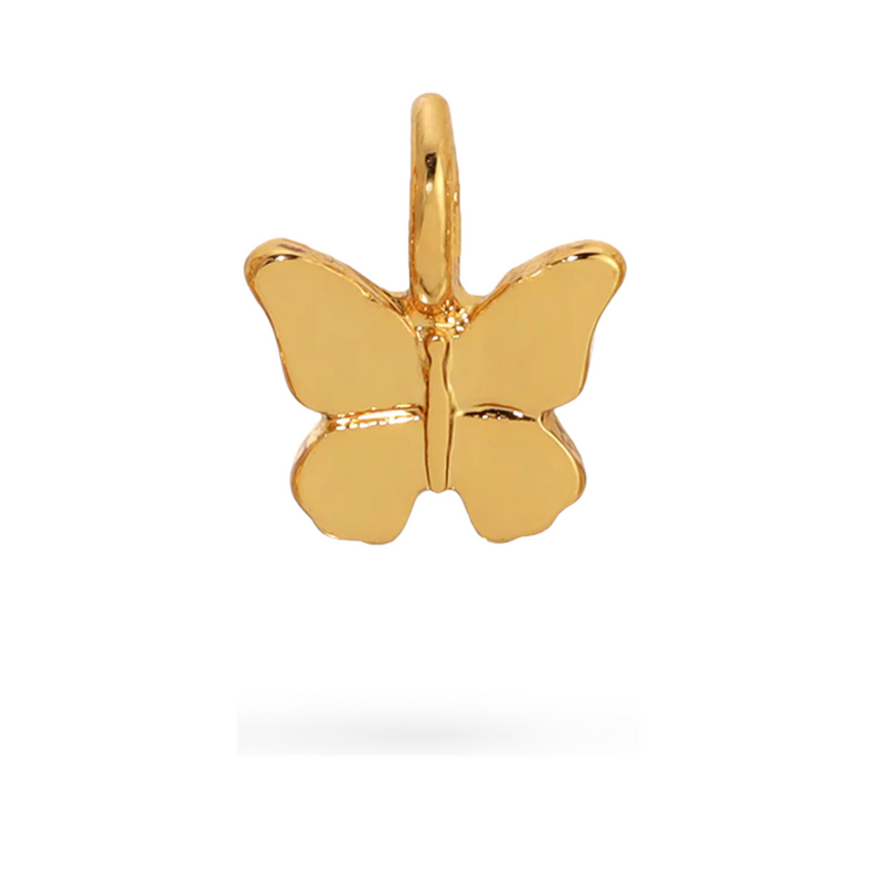 Charm Garden - LOCAL FIXTURE