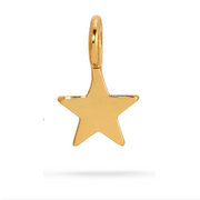 Charm Garden - LOCAL FIXTURE