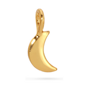 Charm Garden - LOCAL FIXTURE